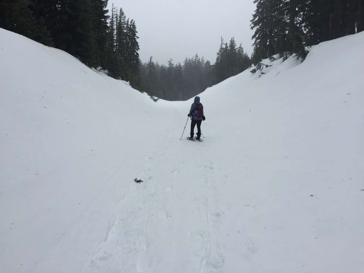Crater Lake - Vidae Falls Hike Image