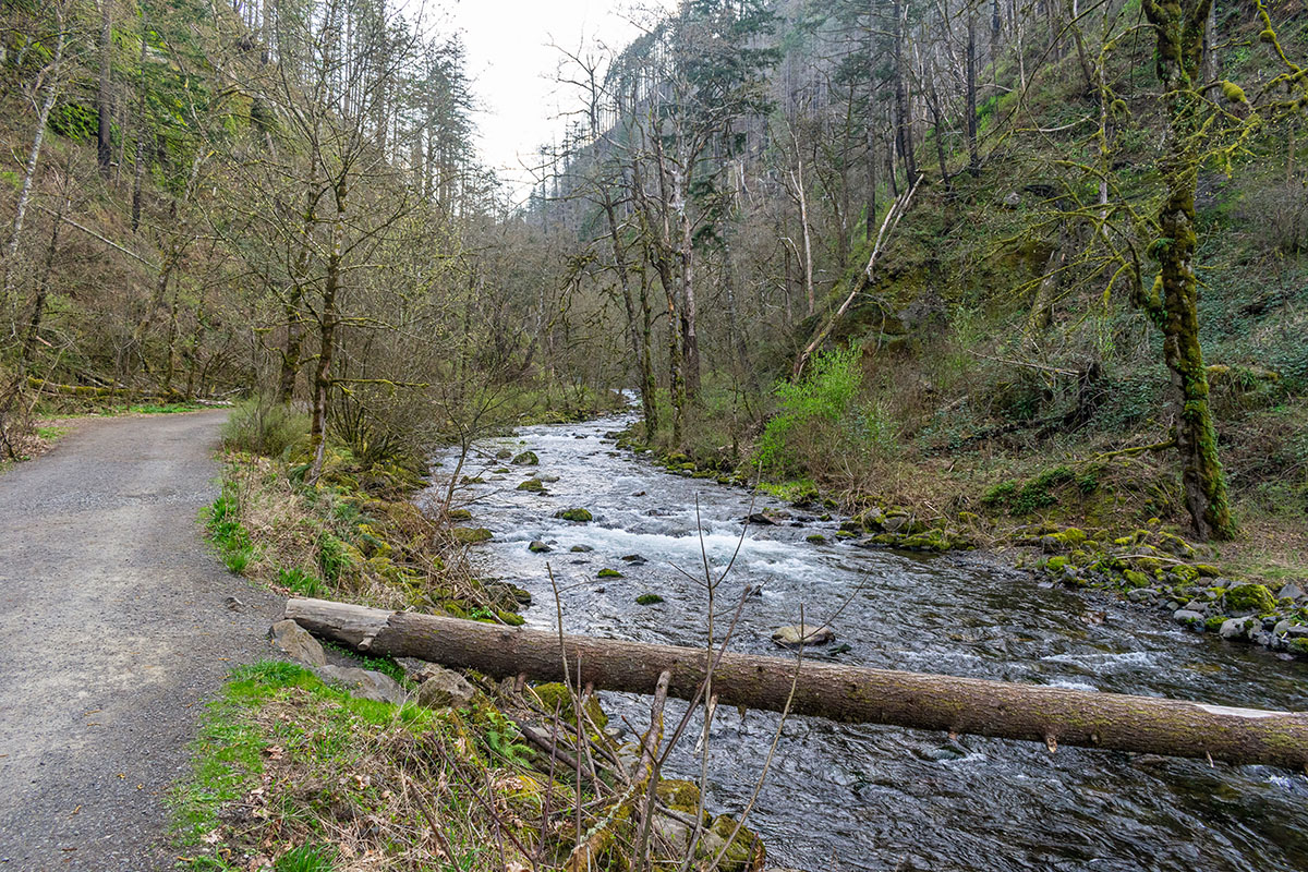 Wahclella Falls Hike Image