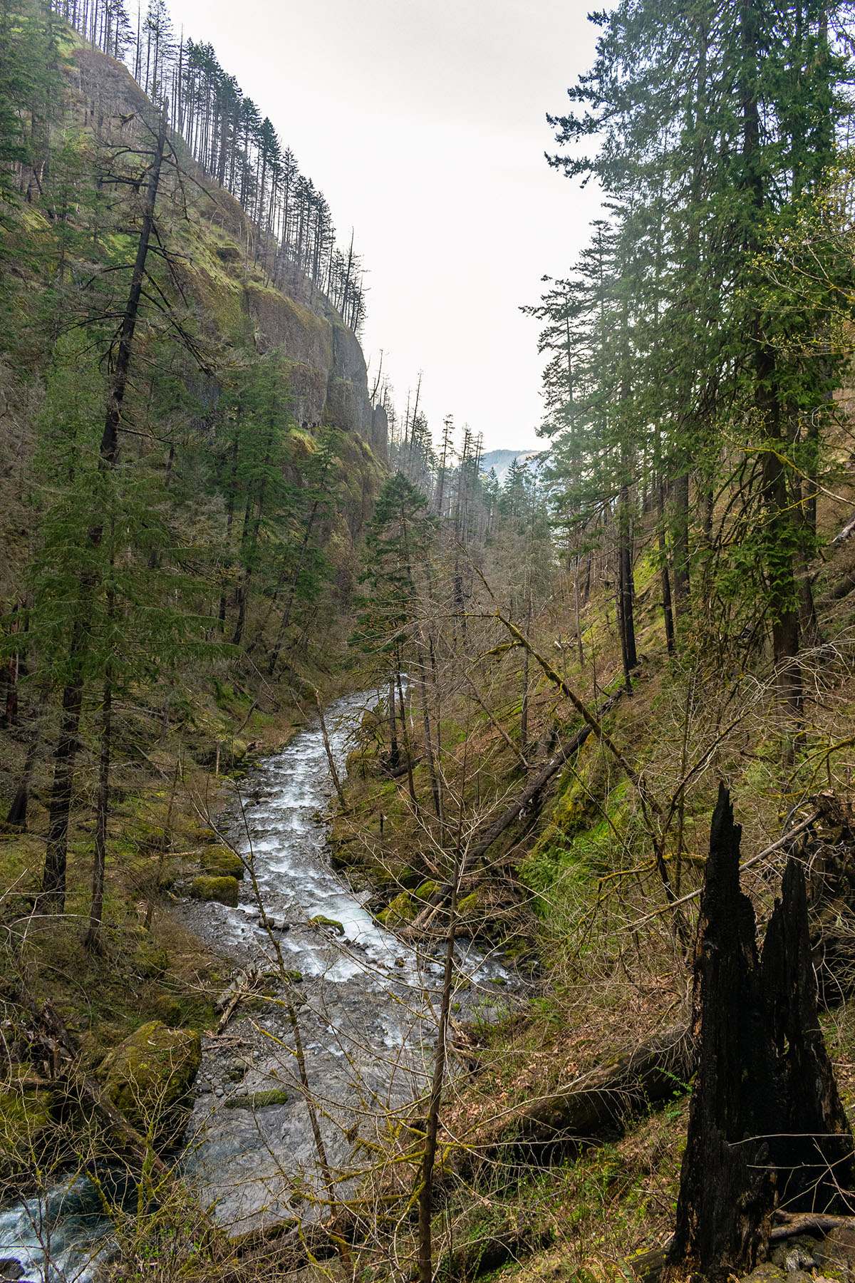 Wahclella Falls Hike Image
