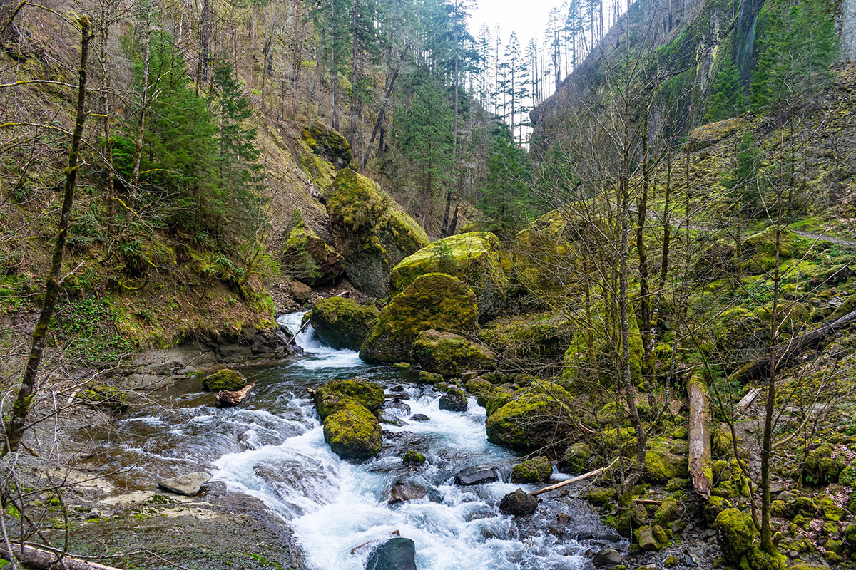 Wahclella Falls Hike Image