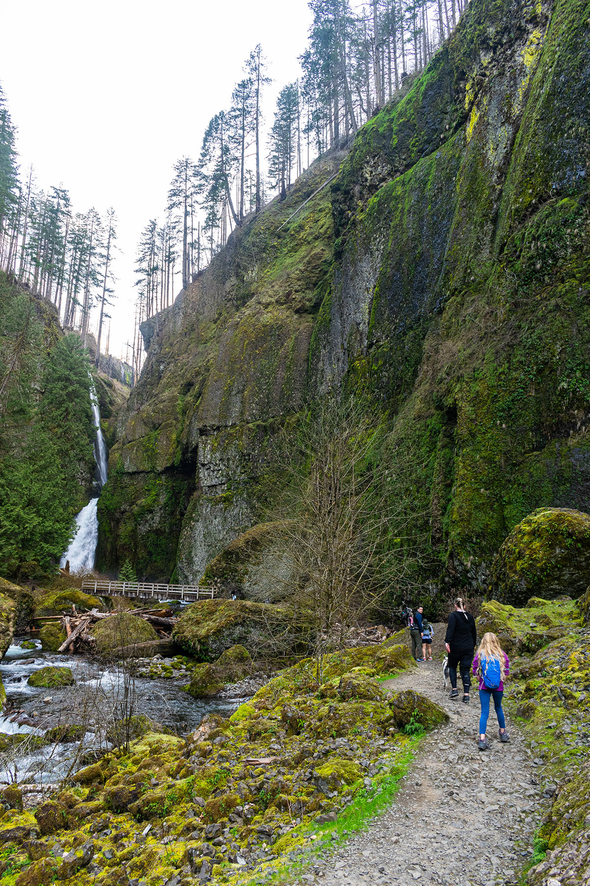 Wahclella Falls Hike Image