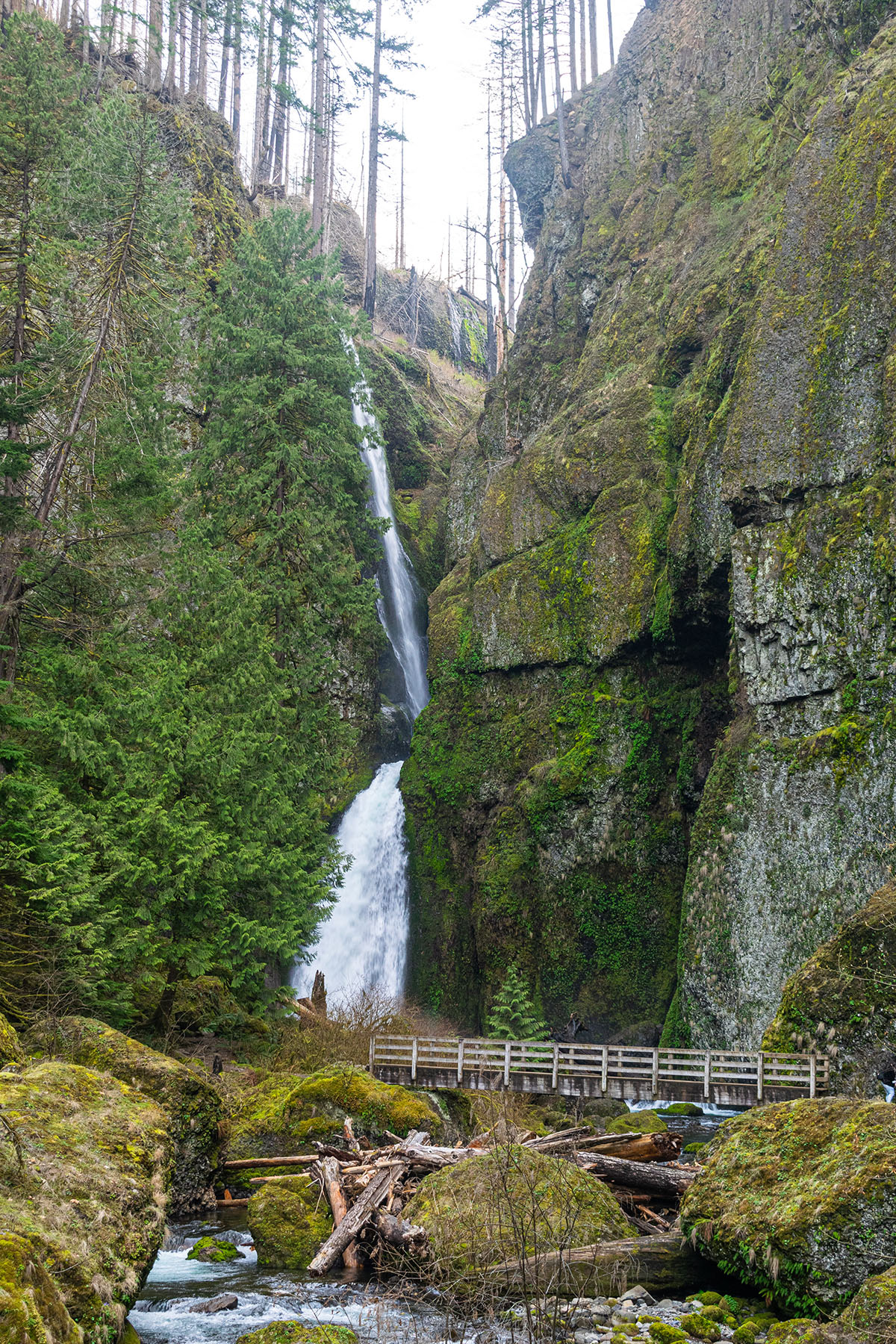 Wahclella Falls Hike Image