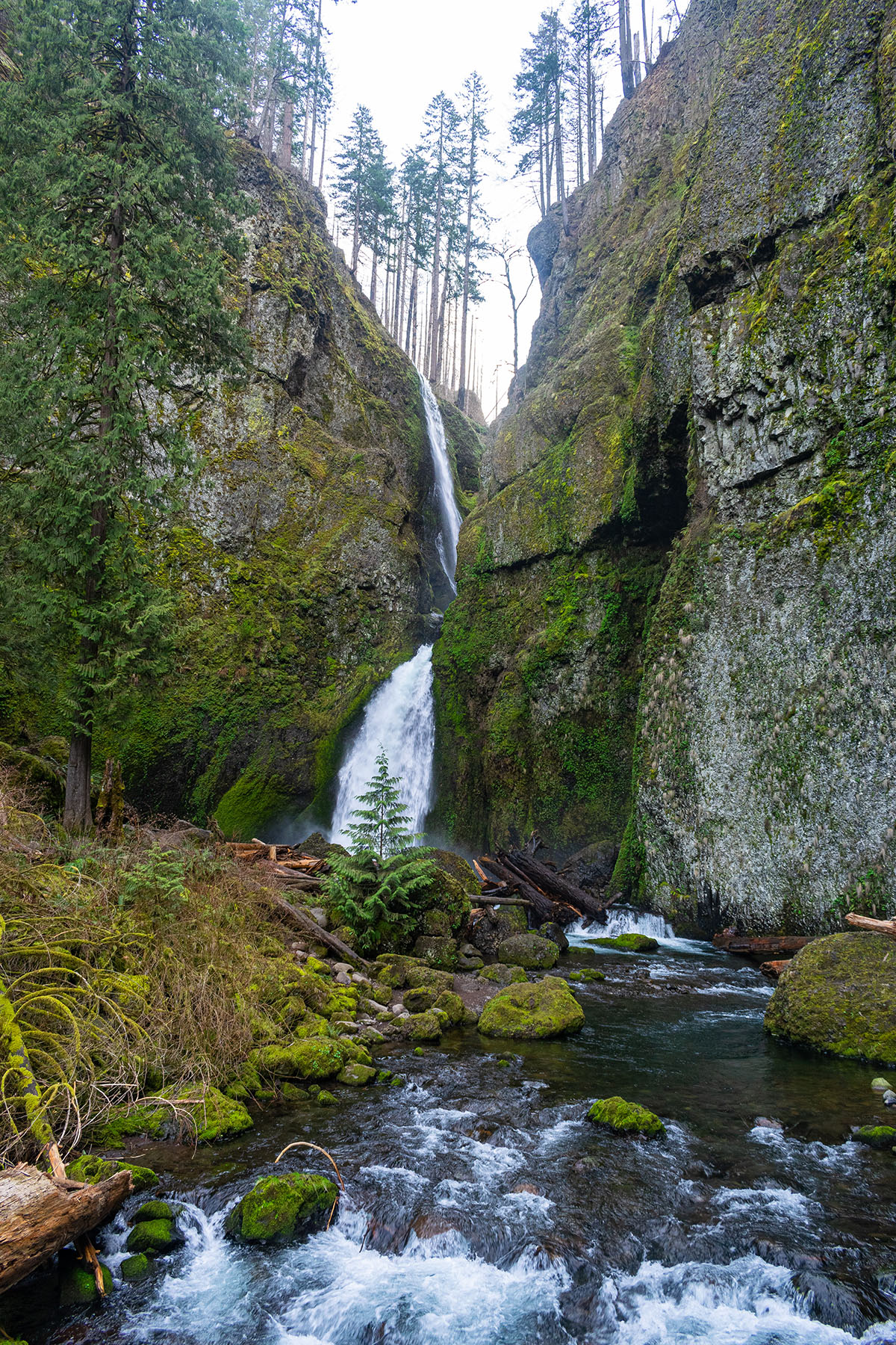 Wahclella Falls Hike Image