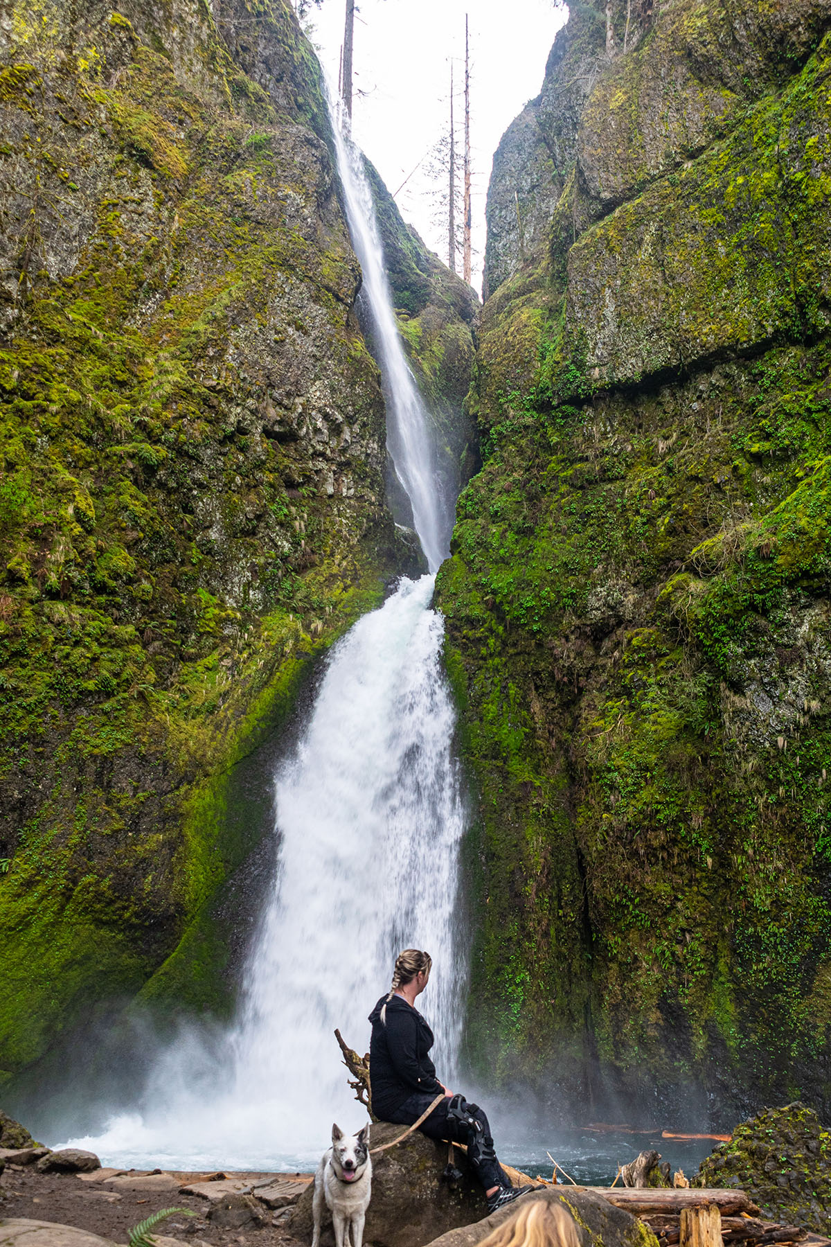 Wahclella Falls Hike Image