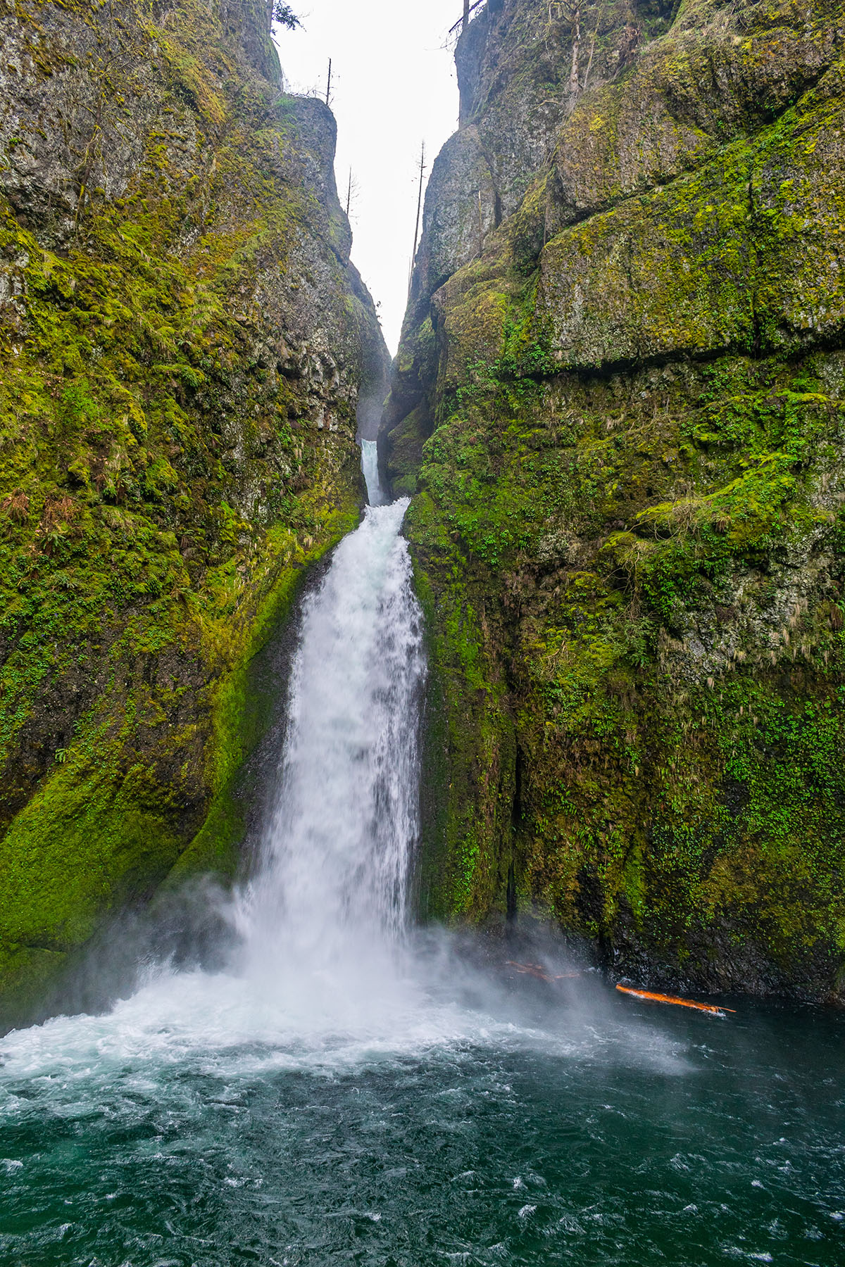 Wahclella Falls Hike Image