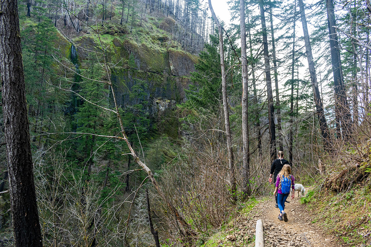 Wahclella Falls Hike Image
