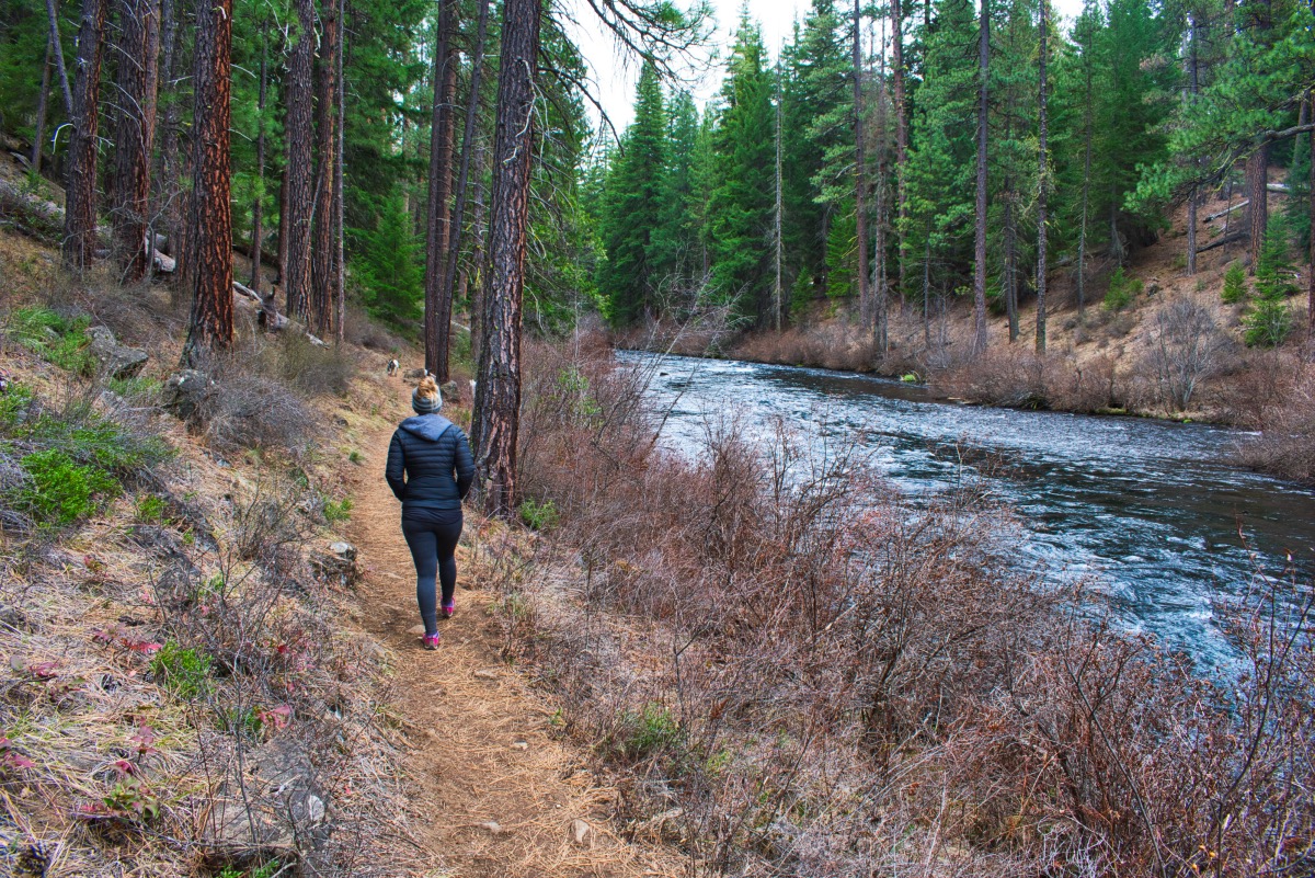 West Metolius Trail Hike Image