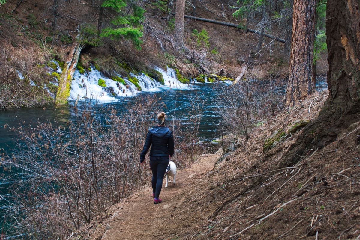 West Metolius Trail Hike Image
