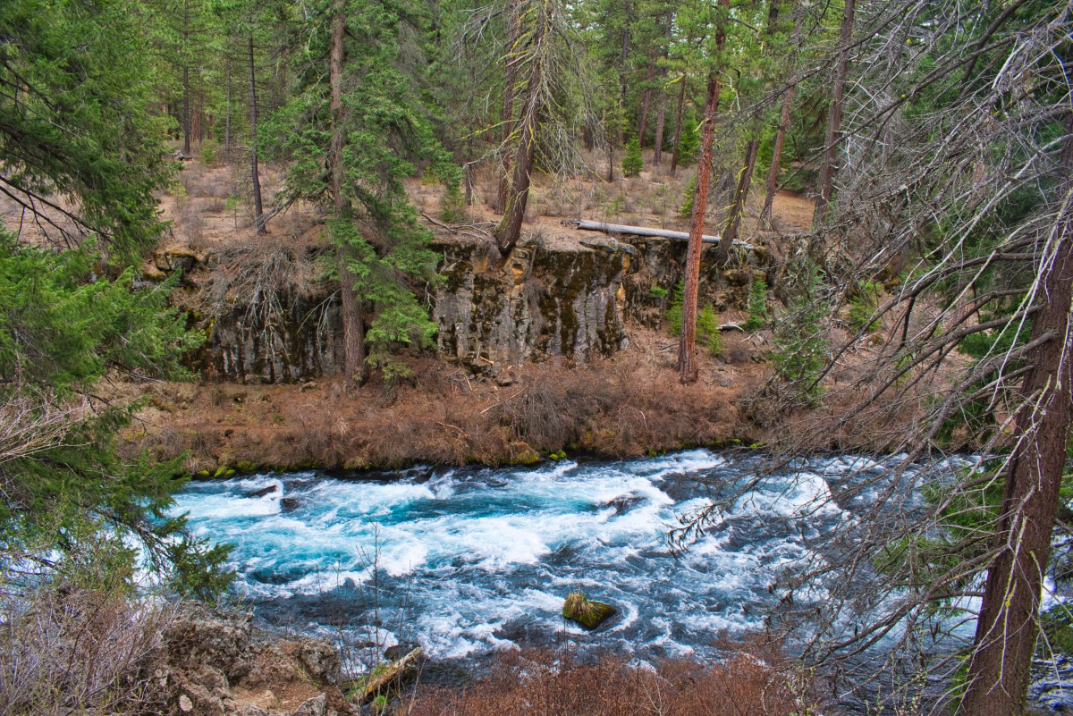West Metolius Trail Hike Image