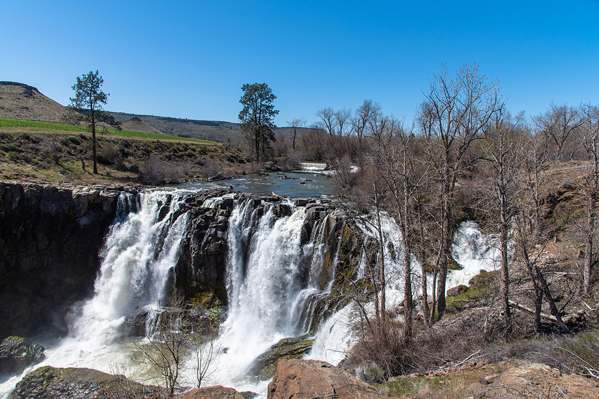 White River Falls Hike Image