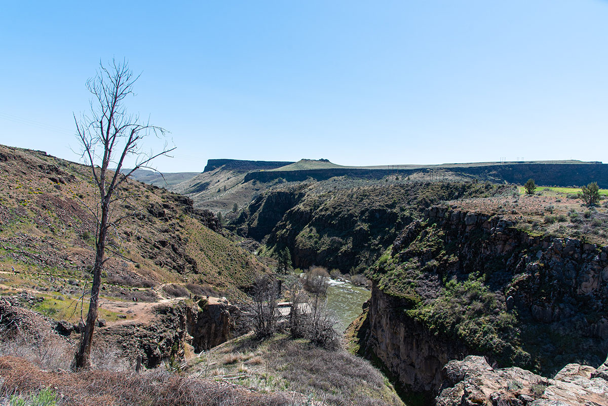 White River Falls Hike Image