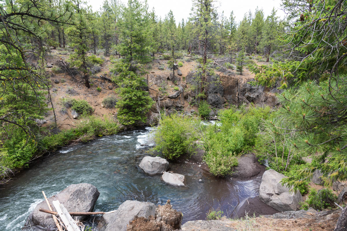 Whychus Creek Trail Hike Image
