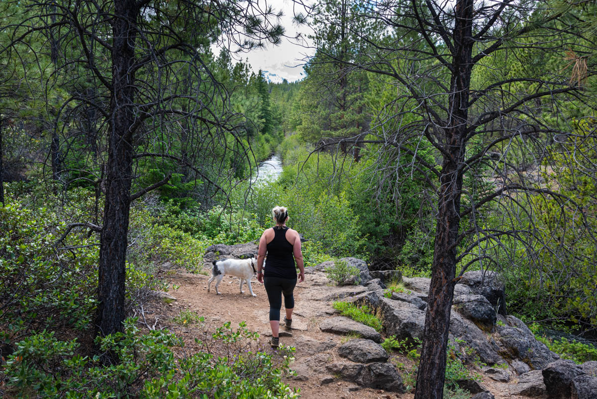 Whychus Creek Trail Hike Image
