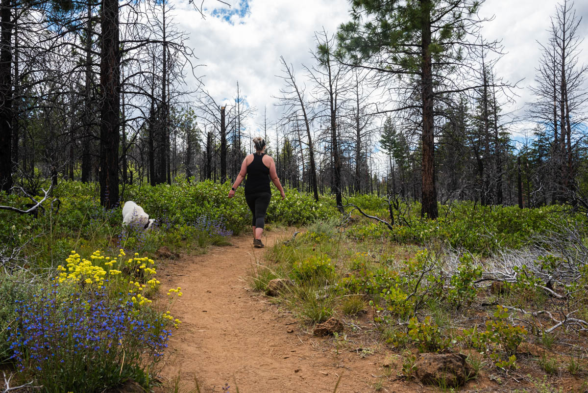 Whychus Creek Trail Hike Image