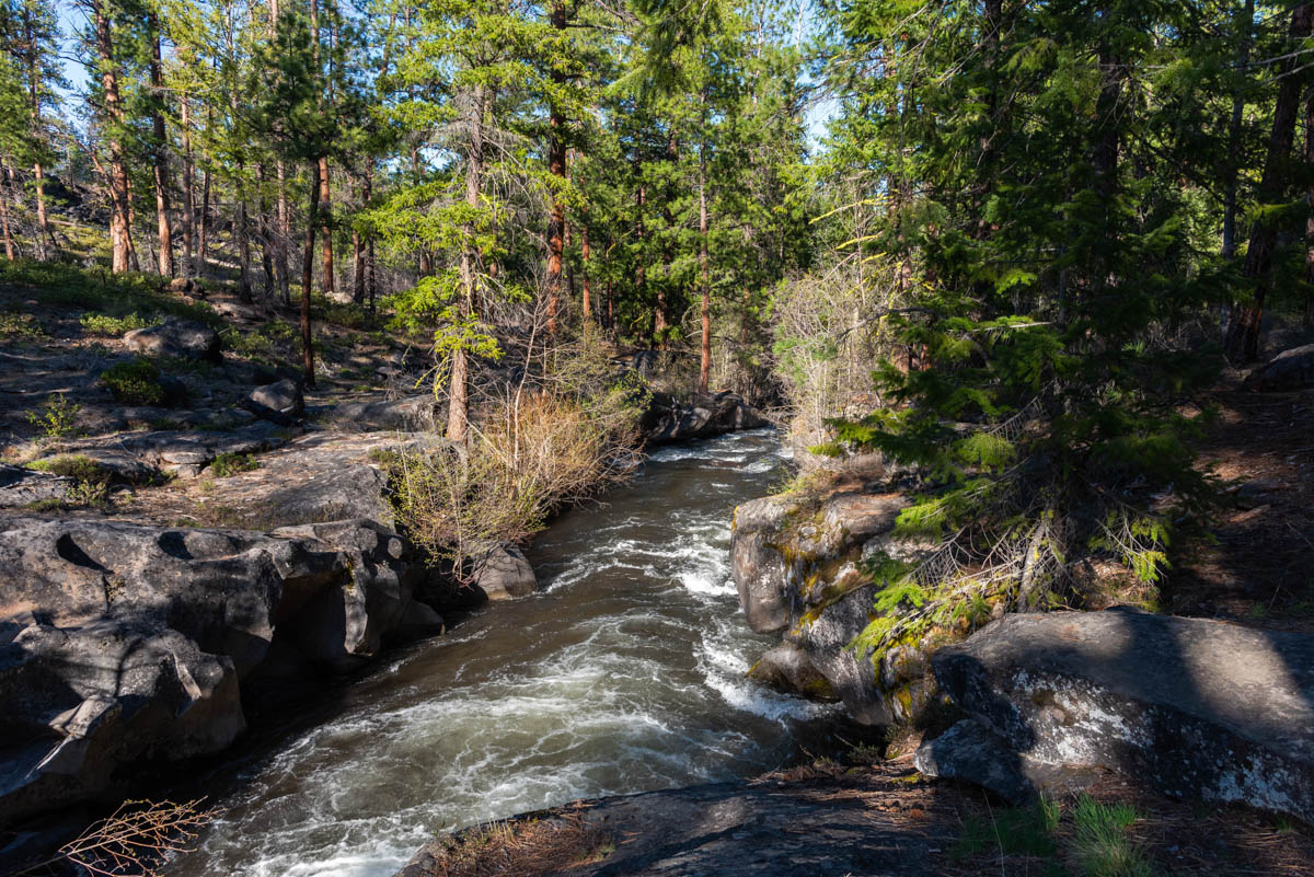 Whychus Creek Trail Hike Image