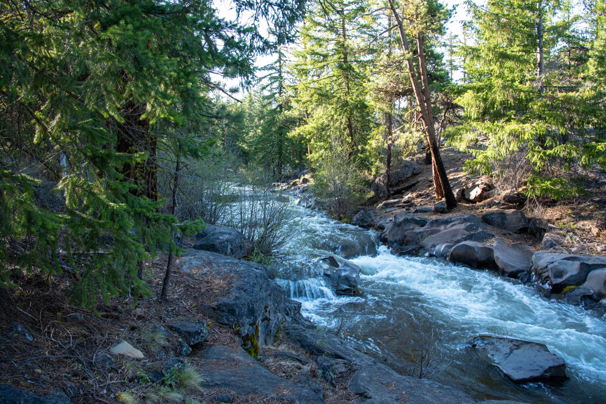 Whychus Creek Trail Hike Image
