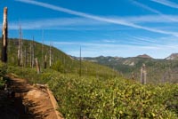 Carl Lake Image Thumbnail