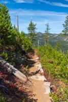 Carl Lake Image Thumbnail
