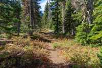 Carl Lake Image Thumbnail