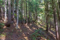 Carl Lake Image Thumbnail