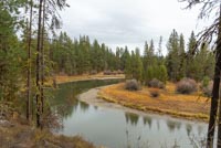 LaPine State Park - Cougar Woods Image Thumbnail