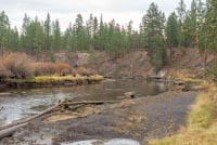 LaPine State Park - Cougar Woods Image Thumbnail
