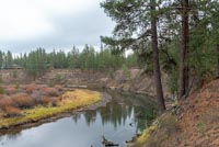 LaPine State Park - Cougar Woods Image Thumbnail