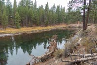 LaPine State Park - Cougar Woods Image Thumbnail