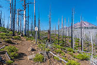 Demaris Lake Image Thumbnail