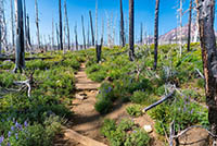 Demaris Lake Image Thumbnail