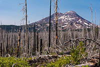 Demaris Lake Image Thumbnail