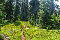 Demaris Lake Image Thumbnail