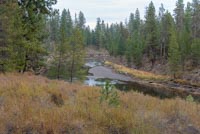 LaPine State Park - Deschutes Loop Image Thumbnail