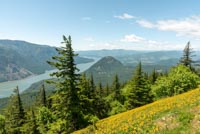 Dog Mountain Image Thumbnail