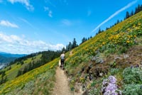 Dog Mountain Image Thumbnail
