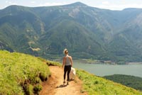 Dog Mountain Image Thumbnail