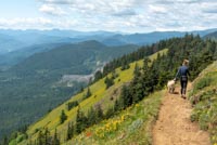 Dog Mountain Image Thumbnail