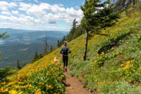 Dog Mountain Image Thumbnail