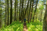 Dog Mountain Image Thumbnail