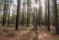 Metolius Preserve - Grand Tour Image Thumbnail
