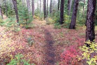 Metolius Preserve - Grand Tour Image Thumbnail