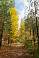 Metolius Preserve - Grand Tour Image Thumbnail