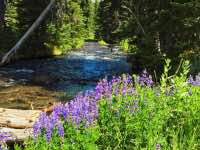 Green Lakes - Fall Creek Trail Image Thumbnail