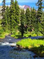 Green Lakes - Fall Creek Trail Image Thumbnail