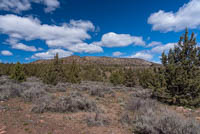 Juniper Butte Image Thumbnail