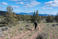 Juniper Butte Image Thumbnail