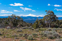 Juniper Butte Image Thumbnail