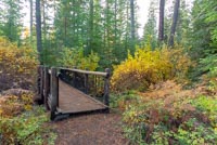 Metolius Preserve - Larch Loop Image Thumbnail