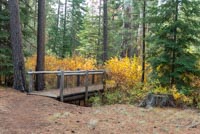 Metolius Preserve - Larch Loop Image Thumbnail