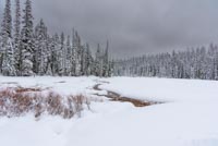 ��Meadow Creek
